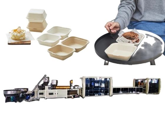 Blister Machinery Burger Box Line دستگاه ظروف غذای یکبار مصرف زیست تخریب پذیر